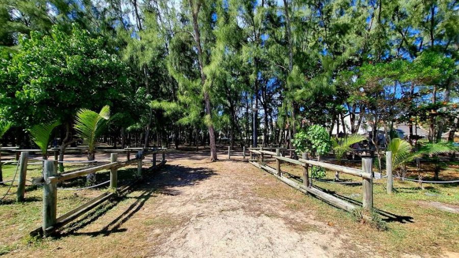 Beachfront Duplex in Mont Choisy (Gated Community) photograph 2