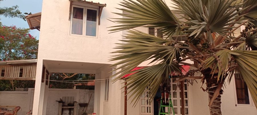 Duplex at Balaclava photograph 8