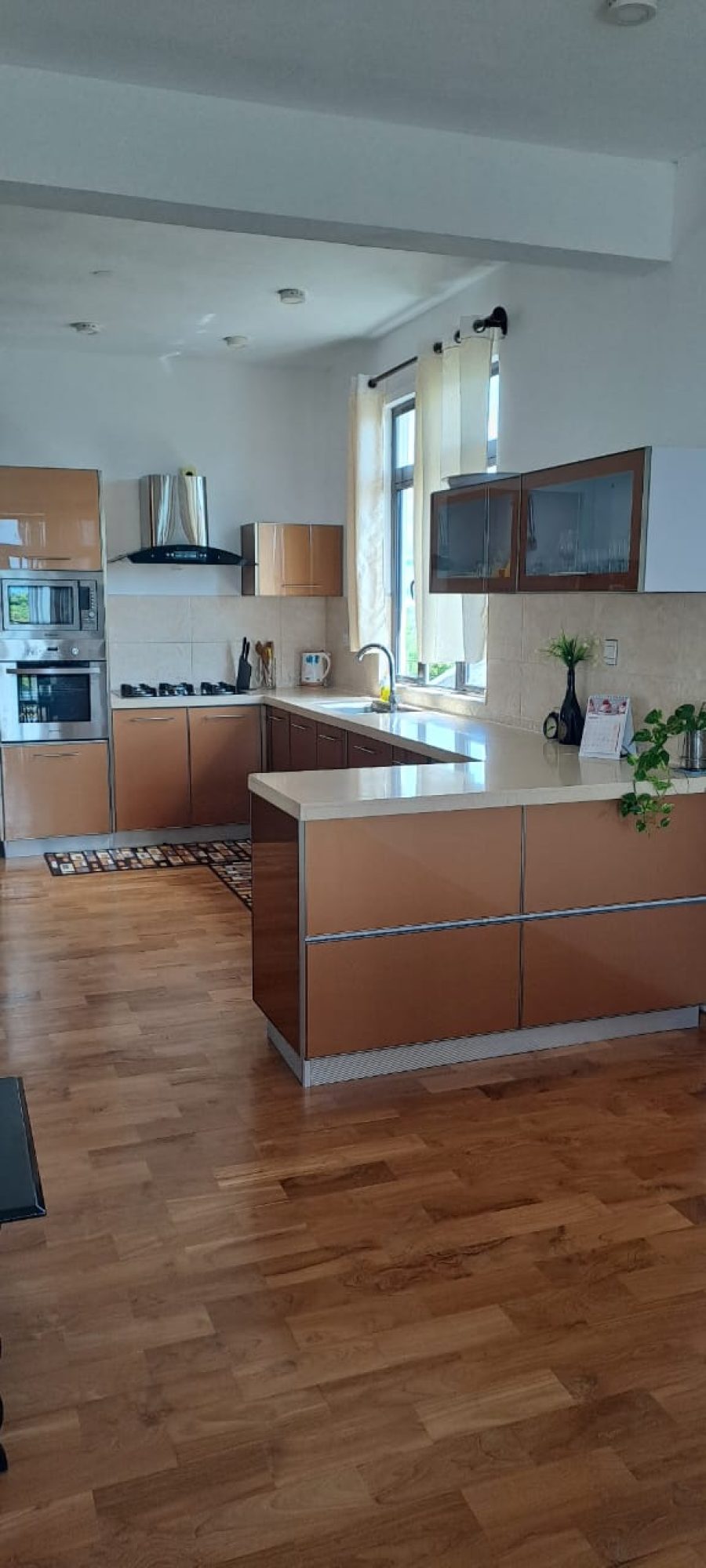 Apartment at Calodyne  photograph 2