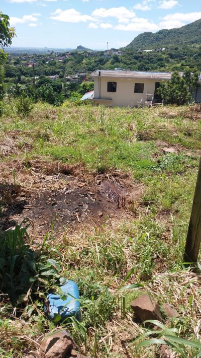 🏡 RESIDENTIAL LAND FOR SALE – CRÈVE CŒUR photograph 4