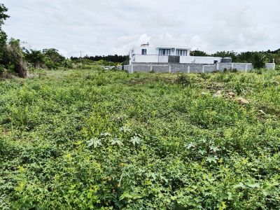 🏡 RESIDENTIAL LAND – DARUTY 🏡 photograph 2