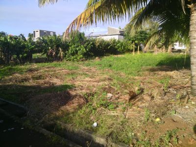 🌿 Residential Land at Mont Gout, Pamplemousses 🏡 photograph 2