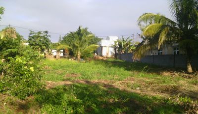 🌿 Residential Land at Mont Gout, Pamplemousses 🏡 photograph 3