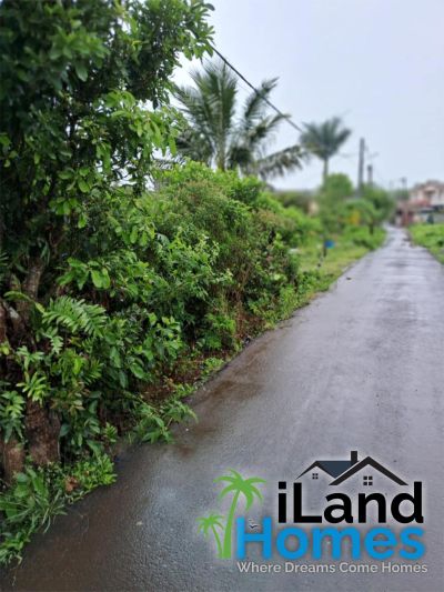 🌿 Residential Land in Ripailles, St Pierre 🏡 photograph 2