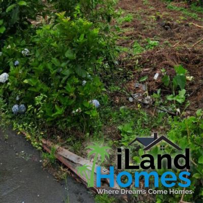 🌿 Residential Land in Ripailles, St Pierre 🏡 photograph 3